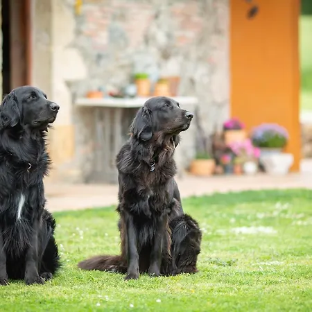 Mas Teixidor, Masia Entre Girona Y La Costa Brava Accommodatie bij particulieren Caldes de Malavella