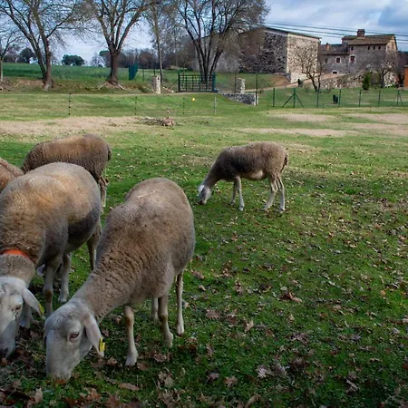 Mas Teixidor, Masia Entre Girona Y La Costa Brava Accommodatie bij particulieren *