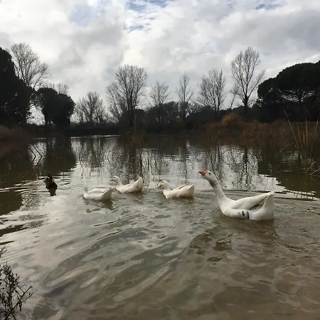 Homestay Mas Teixidor, Masia Entre Girona Y La Costa Brava *